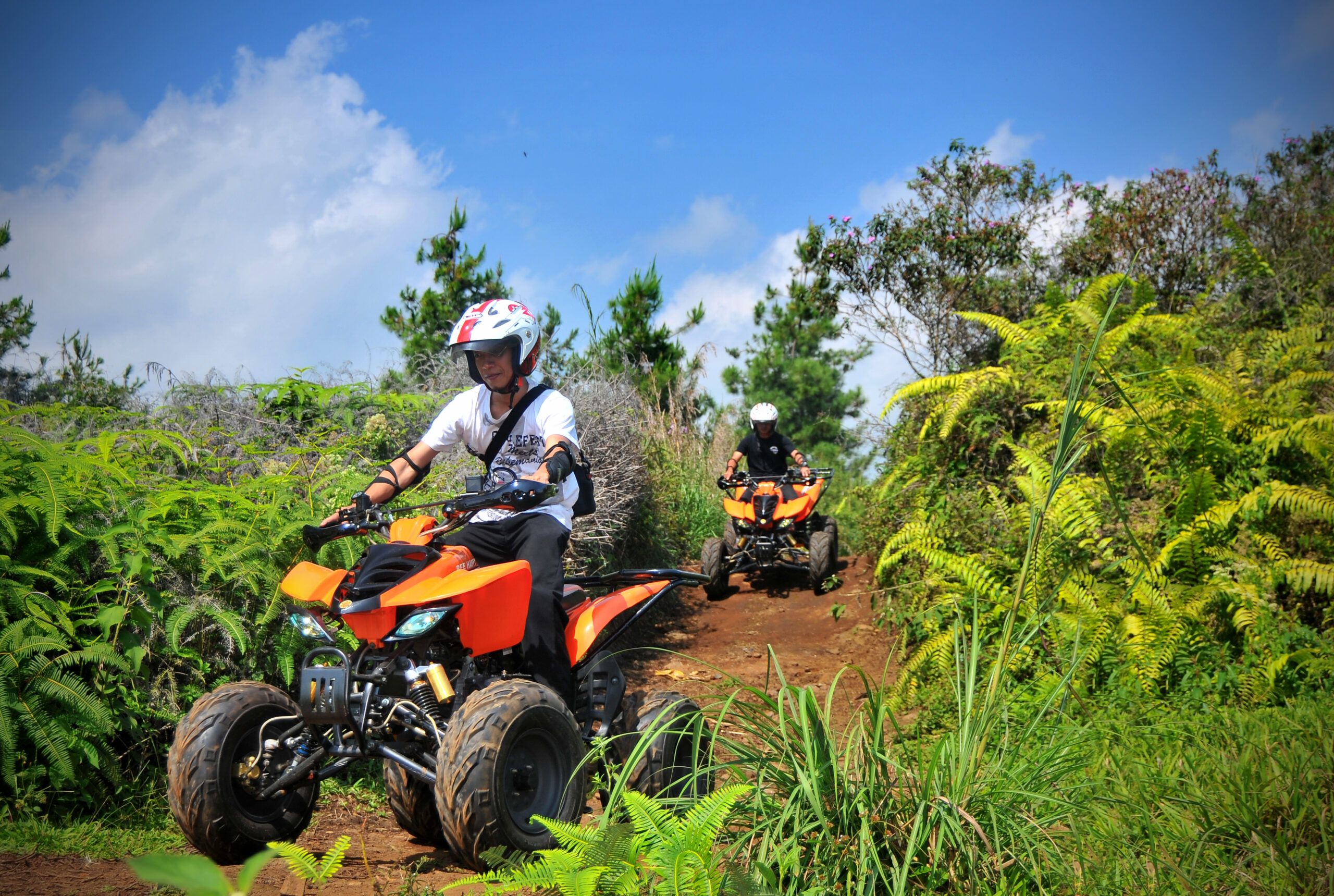Jamnas 6 TLCI