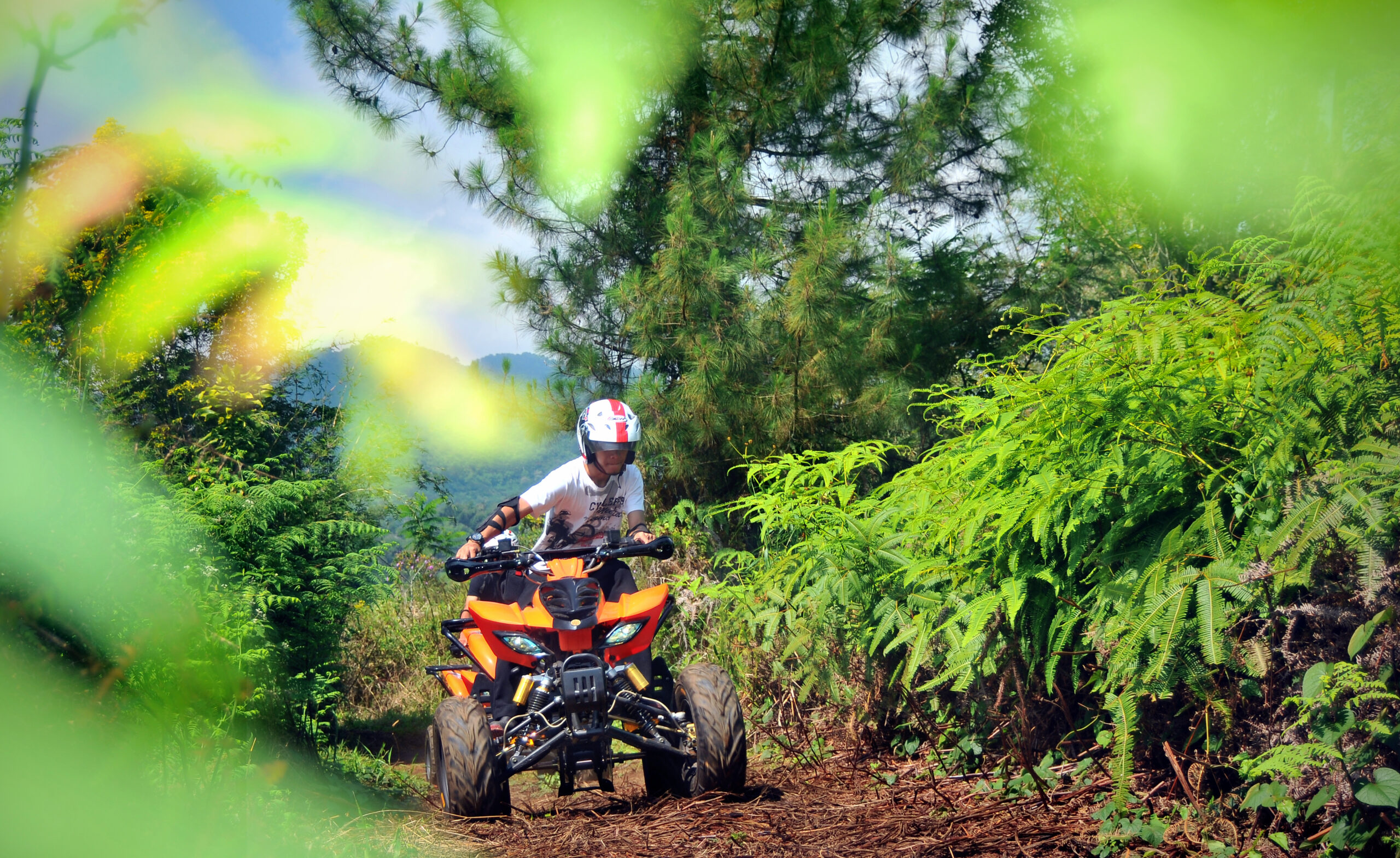 Jamnas 6 TLCI